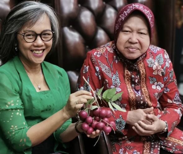 Risma dan Papua